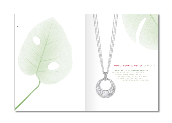 Dorotheum (3/8)